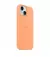 Чохол для Apple iPhone 15 Plus  Apple Silicone Case with MagSafe Orange Sorbet (MT173)