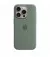 Чехол для Apple iPhone 15 Pro  Apple Silicone Case with MagSafe Cypress (MT1J3)