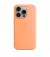 Чехол для Apple iPhone 15 Pro Max  Apple Silicone Case with MagSafe Orange Sorbet (MT1W3)