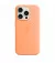 Чехол для Apple iPhone 15 Pro Max  Apple Silicone Case with MagSafe Orange Sorbet (MT1W3)