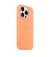 Чехол для Apple iPhone 15 Pro Max  Apple Silicone Case with MagSafe Orange Sorbet (MT1W3)