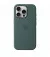 Чехол для Apple iPhone 16 Pro  Apple Silicone Case with MagSafe Lake Green (MYYR3)
