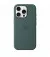 Чехол для Apple iPhone 16 Pro  Apple Silicone Case with MagSafe Lake Green (MYYR3)