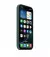 Чехол для Apple iPhone 16 Pro  Apple Silicone Case with MagSafe Lake Green (MYYR3)