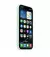 Чехол для Apple iPhone 16 Pro Max  Apple Silicone Case with MagSafe Aquamarine (MDGY4)