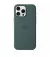 Чехол для Apple iPhone 16 Pro Max  Apple Silicone Case with MagSafe Lake Green (MA7V4)