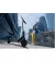 Электросамокат Segway-Ninebot E2 E II Black (AA.05.14.01.0004)