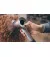 Фен Dyson Supersonic HD11 Professional Edition Nickel/Silver (392966-01)