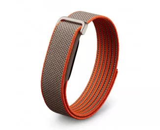 Фитнес-браслет Google Fitbit Air Rye