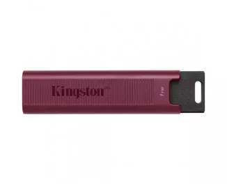 Флешка USB 3.2 1 TB Kingston DataTraveler Max Red (DTMAXA/1TB)