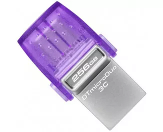 Флешка USB 3.2 256Gb Kingston DataTraveler microDuo 3C (DTDUO3CG3/256GB)