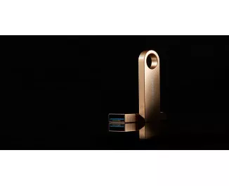 Флешка USB 3.2 256Gb Kingston DataTraveller SE9 G3 (DTSE9G3/256GB)