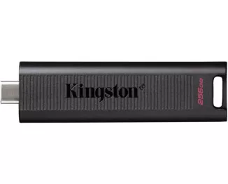 Флешка USB Type-C 256Gb Kingston DataTraveler Max (DTMAX/256GB)