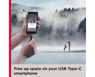 Флешка USB Type-C 512Gb SanDisk Ultra Dual Drive Go (SDDDC3-512G-G46)