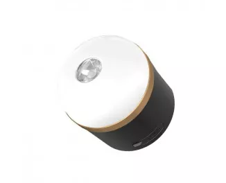 Фонарь LED-лампа EcoFlow Camping Light