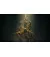Гра для PS5 Elden Ring Shadow of the Erdtree Edition (Blu-ray диск) (3391892031959)