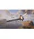 Игра для PS5 Hogwarts Legacy (Blu-ray диск) (5051895413425)