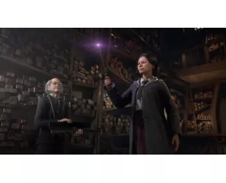 Игра для PS5 Hogwarts Legacy (Blu-ray диск) (5051895413425)