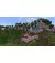 Игра для PS5 Minecraft (Blu-ray диск) UA (5056635611741)