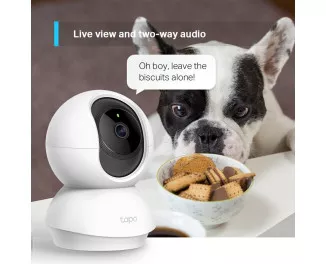 IP-Камера TP-LINK TC70 FHD N300 microSD motion detection