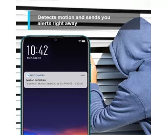 IP-Камера TP-LINK TC70 FHD N300 microSD motion detection