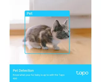 IP-камера відеоспостереження TP-Link Tapo C225