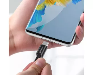 Кабель USB Type-C > USB Type-C  Baseus Superior Series 100W 2.0m (CATYS-C01) Black
