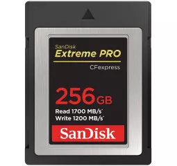 Карта памяти CFExpress 256Gb SanDisk Extreme PRO Type B (SDCFE-256G-GN4NN)