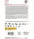 Карта памяти microSD 128Gb SanDisk Extreme ActionCam A2 C10 V30 UHS-I U3 + SD адаптер (SDSQXAA-128G-GN6AA)