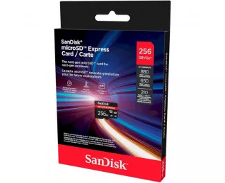 Карта пам'яті microSD 256Gb SanDisk Express Memory Card (SDSQXFN-256G-GN4NN)