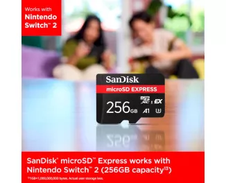 Карта пам'яті microSD 256Gb SanDisk Express Memory Card (SDSQXFN-256G-GN4NN)