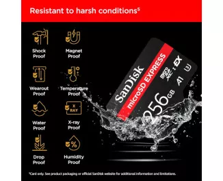 Карта пам'яті microSD 256Gb SanDisk Express Memory Card (SDSQXFN-256G-GN4NN)