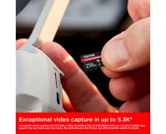 Карта пам'яті microSD 256Gb SanDisk Express Memory Card (SDSQXFN-256G-GN4NN)