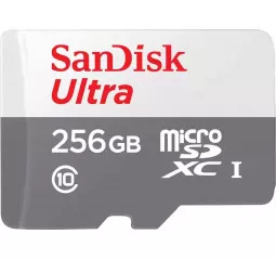 Карта памяти microSD 256Gb SanDisk Ultra Class 10 UHS-I (SDSQUNR-256G-GN3MN)