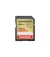 Карта пам'яті SD 128Gb SanDisk Extreme Plus (SDSDXWA-128G-GNCIN)
