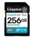 Карта пам'яті SD 256Gb Kingston Canvas Go! Plus class 10 A2 V30 UHS-1 U3 (SDG4/256GB)