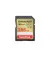 Карта пам'яті SD 256Gb SanDisk Extreme Plus (SDSDXWV-256G-GNCIN)