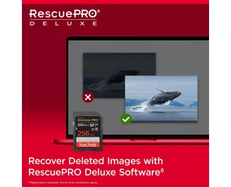 Карта пам'яті SD 256Gb SanDisk Extreme PRO class 10 UHS-I U3 V30 (SDSDXXD-256G-GN4IN)