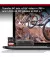 Карта памяти SD 256Gb SanDisk Extreme PRO (SDSDXEP-256G-GN4IN)