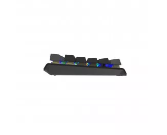 Клавиатура A4Tech FS100 RGB FS Switch USB Stone Black (4711422003925)