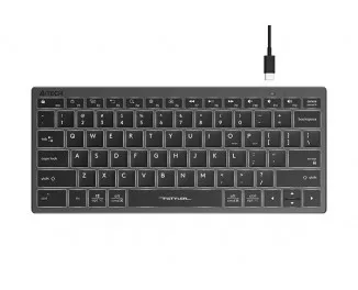 Клавиатура A4Tech FX61 USB Grey