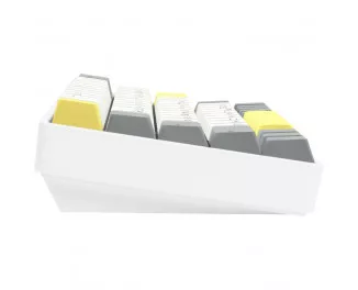 Клавіатура бездротова Epomaker EP64 60 Mulan Switch Hot-Swap RGB Wireless/Bluetooth/USB UA White (EP64-W-M)
