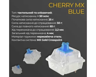 Клавіатура Ducky One 3 Cherry MX Blue RGB UA USB Black (DKON2108ST-CUAPXCLAWSC1)