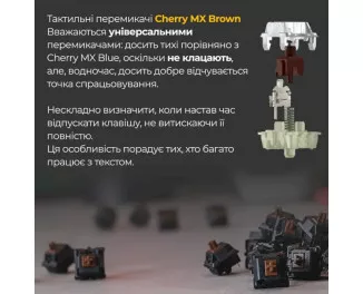 Клавиатура Ducky One 3 Cherry MX Brown RGB UA USB White (DKON2108ST-BUAPXPWWWSC1)