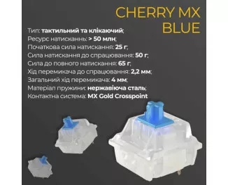 Клавіатура Ducky One 3 TKL Cherry MX Blue RGB UA USB Black (DKON2187ST-CUAPXCLAWSC1)