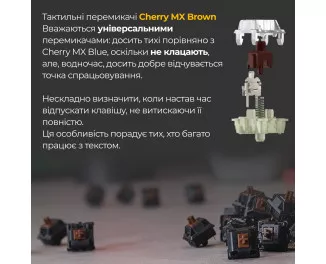 Клавиатура Ducky One 3 TKL Cherry MX Brown UA USB Cream (DKON2187-BUAPXМAEGGC1)