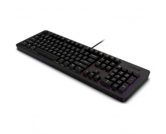 Клавиатура Lenovo Legion K310 RGB USB UA Black (GY41N91855)