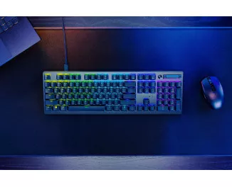 Клавиатура Razer DeathStalker V2 Red Switch USB RU Black (RZ03-04500800-R3R1)