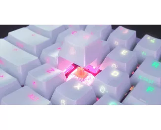 Клавиатура Xtrfy Kailh Red RGB White (K5-RGB-CPT-TPWHITE-R-UKR)