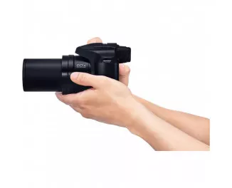 Компактный фотоаппарат Panasonic Lumix DC-FZ82D Black (DC-FZ82DE-K)